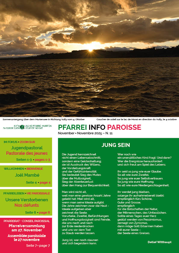 PFARREI INFO 2025 11